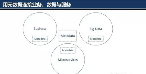 大數據治理技術核心 元數據管理架構設計與數據處理服務一體化實踐