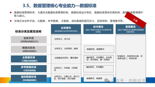 xx集團數據治理體系建設方案 打造卓越數據處理服務